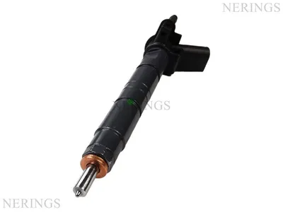 Diesel injectors remanufactured (Bosch-R)-Nērings
