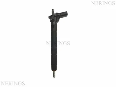 Diesel injectors remanufactured (Bosch-R)-Nērings