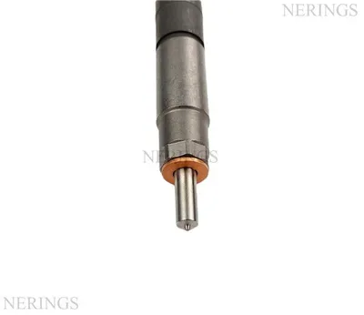 Diesel injector new -BGRS