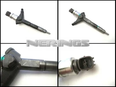 Diesel injector remanufactured -Nērings
