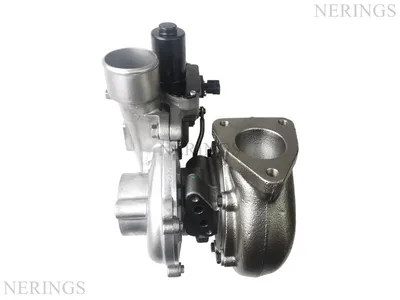 Turbocharger Remanufactured (Toyota-R) -Nērings