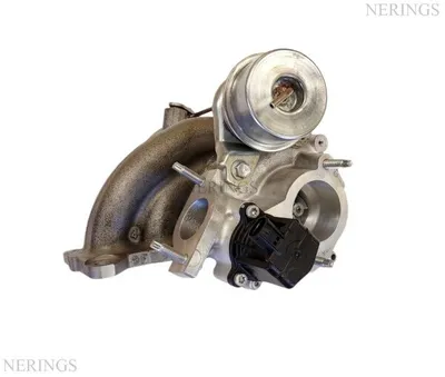 Turbocharger Remanufactured (Toyota-R) -Nērings