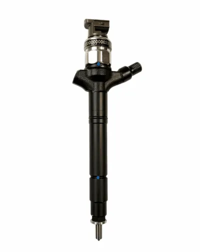 Diesel injectors remanufactured -Nērings