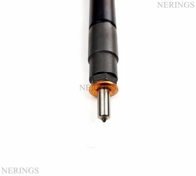 Diesel injectors remanufactured (Denso-R) -Nērings