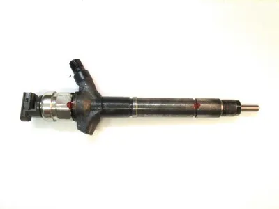 Diesel injectors remanufactured -Nērings