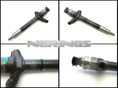 Diesel Injector remanufactured -Nērings