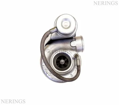 Turbocharger Remanufactured (SCHWITZER)-NĒRINGS