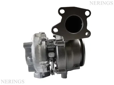Turbocharger Remanufactured (BMTS) -NĒRINGS