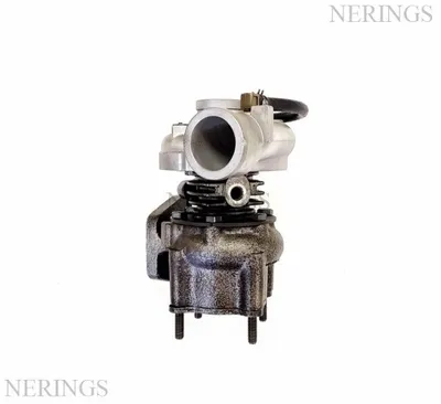 Turbocharger Remanufactured (GARRETT)-NĒRINGS