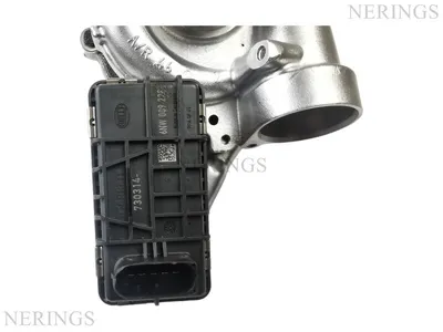 Turbocharger Remanufactured (left side (GARRETT)-NĒRINGS