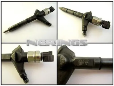 Diesel injectors remanufactured -Nērings