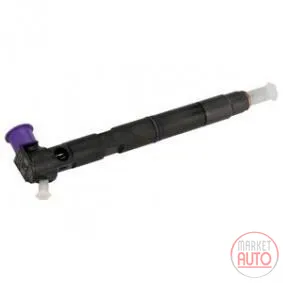 Diesel injectors remanufactured -Nērings