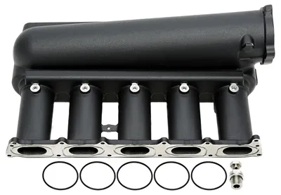 Casted Intake manifold set Audi