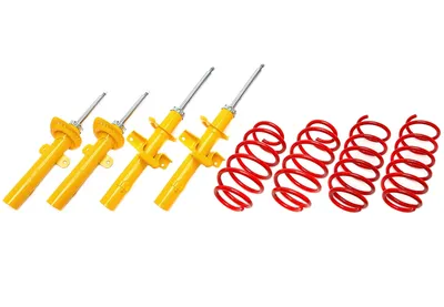 Sports suspension Ford
