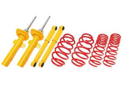 Sports suspension Ford