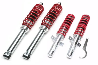 Coilover suspension Ford