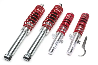 Coilover suspension Ford