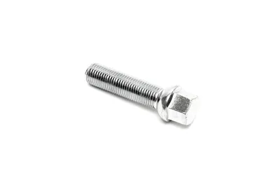 Wheel bolt