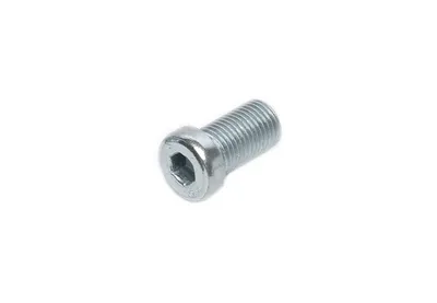 Bolt with hexagon socket M14 x 1,5 x 25mm