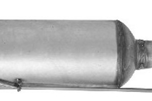 DPF 1306079