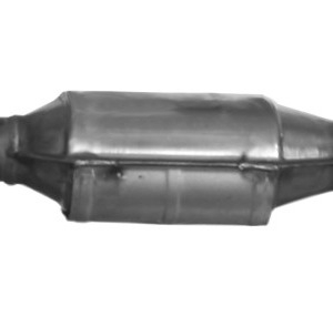 Catalyseur 2895023001