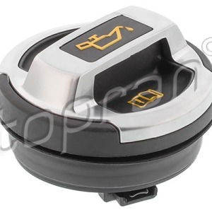Capteur 120081001, 420103485B,