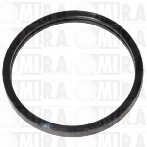 GUARNIZ. TERM. RENAULT CLIO I/MEGANE I/RAPID 60800134