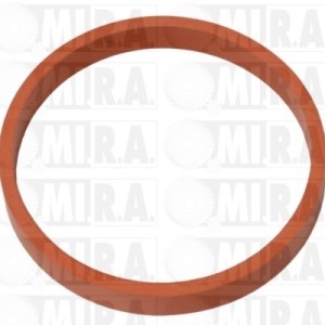 GUARNIZ. M/TTO PASS. ARIA CITROEN C3 II/III 1.2 TCE – 1.6D 0382.QW
