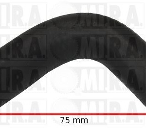 M/TTO PASS.OLIO RENAULT CLIO III/MODUS/KANGOO 8200041982