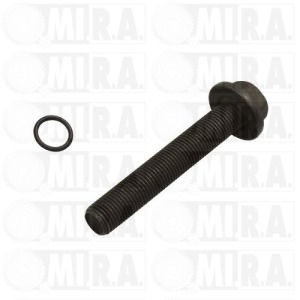 BULLONE FISSAGGIO PULEGGIA 17/2438  1 139 286