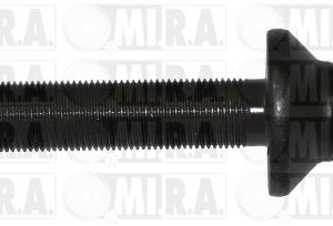 BULLONE FISSAGGIO PULEGGIA BMW 17/2826 11 23 7 787 304