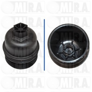 TAPPO FILTRO OLIO OPEL MOVANO – RENAULT MASTER III 6000616624