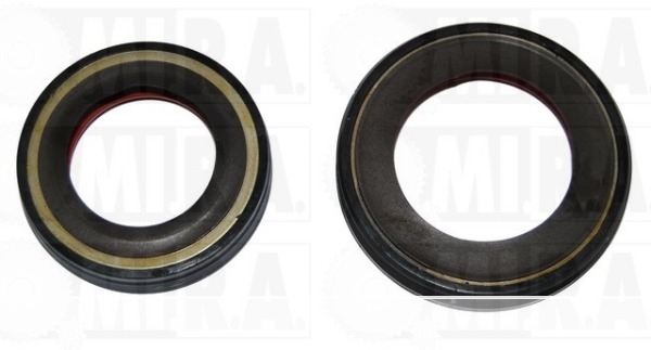 KIT PARAOLIO DIFFERENZIALE PSA/FIAT  312124