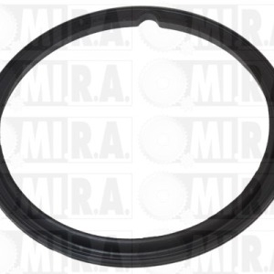 GUARNIZ. POMPA CARB. FIAT FIORINO/QUNO (07>) 1.3/1.6 MJET 1531.48