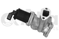 Vanne EGR 55206931, 55219501, 71793409
