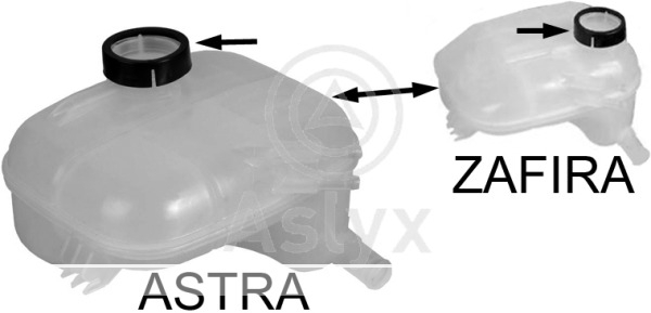 botella exp – 1304614