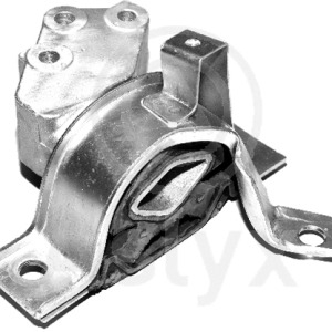 jgo mgtos – 51711354