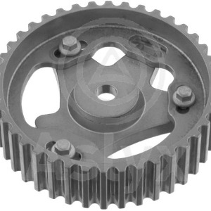 botella exp – 7701468746