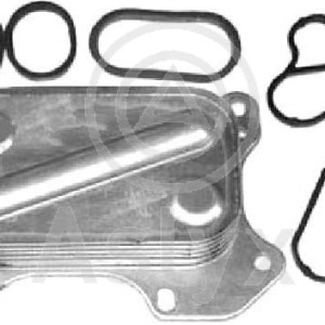 polea ciguenal – 55182506