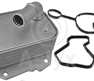 jgo mgtos – 1007797