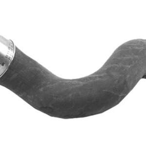 rodillo inferior – 1444430