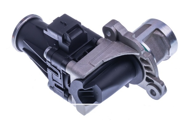 VALVE EGR 1618LN