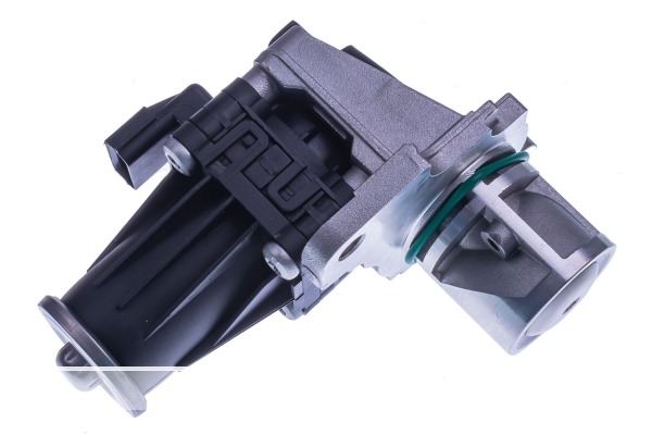 SOUPAPE DE RECYCLAGE DES GAZ D’ÉCHAPPEMENT 8200129863