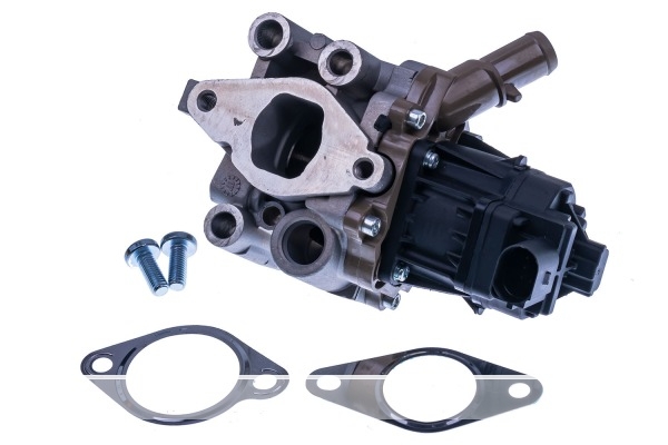 VALVE EGR EG10612-12B1