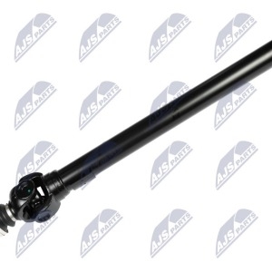ARBRE CARDAN, NWN-CH-081 /15066916