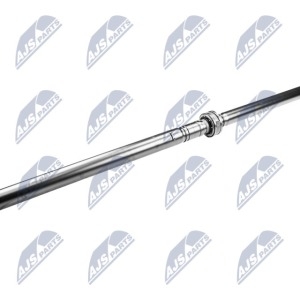 ARBRE CARDAN, NWN-NS-026 /NWN-NS-026