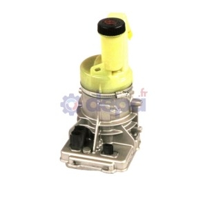 Pompe assistée électrique – 491100611R , 491100842R , 491101351R