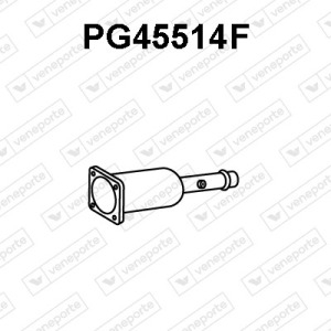 DPF 1731FV-
