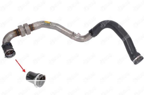 TUYAU DE TURBO 8201043883