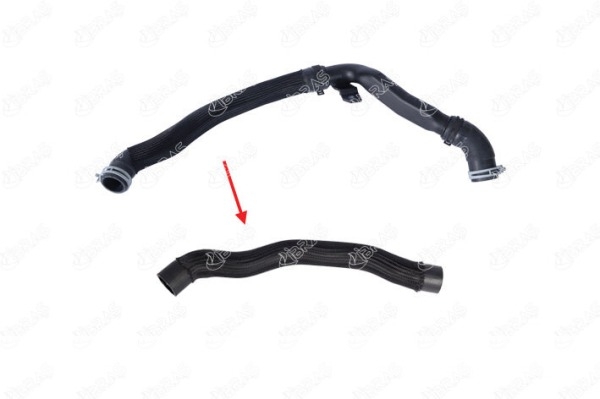 TUYAU DE TURBO GK218D033BG